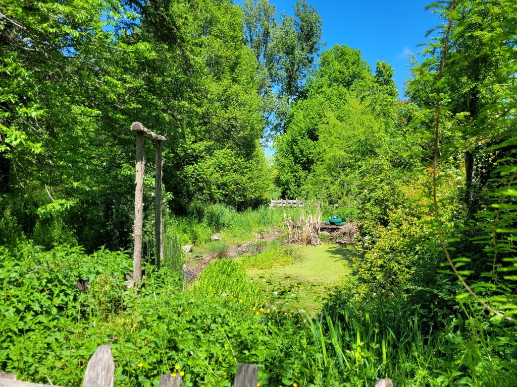 Parc Botanique du Château de Neuvic, Neuvic