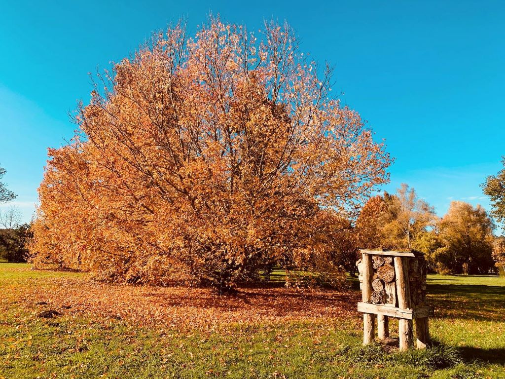 Parc Botanique du Château de Neuvic, Neuvic - photo 25