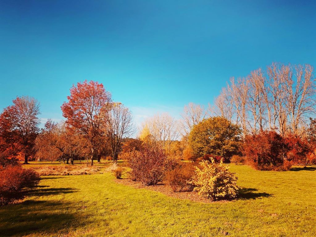 Parc Botanique du Château de Neuvic, Neuvic - photo 8