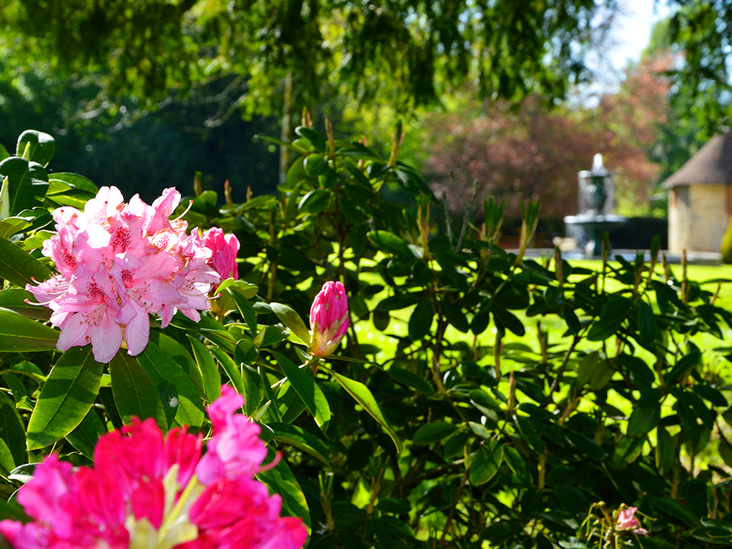 Parc du Château de Nexon, Nexon