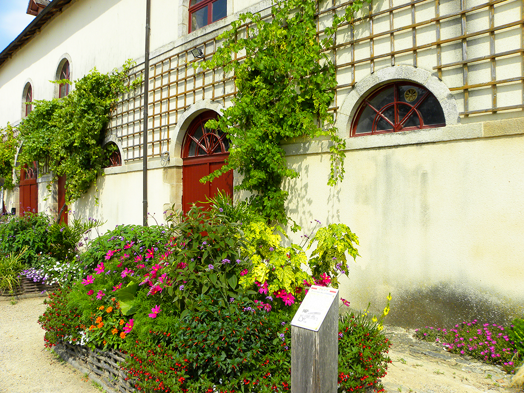 Parc du Château de Nexon, Nexon - photo 4