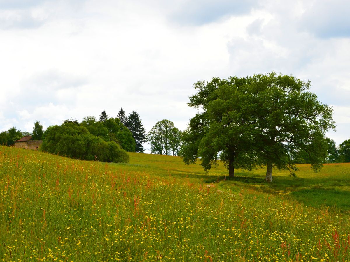 Parc du Vallon des Granges, Châlus - photo 8