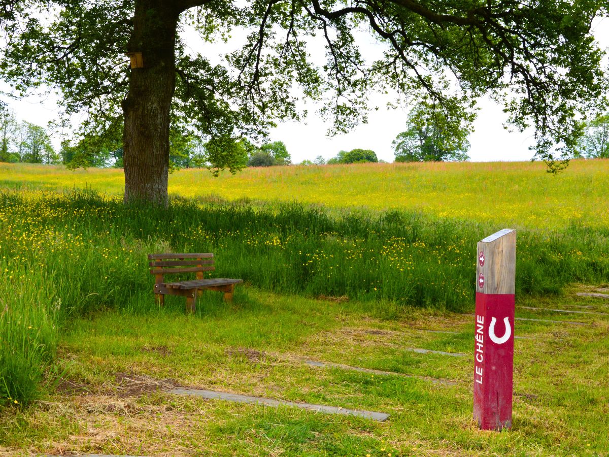 Parc du Vallon des Granges, Châlus - photo 3