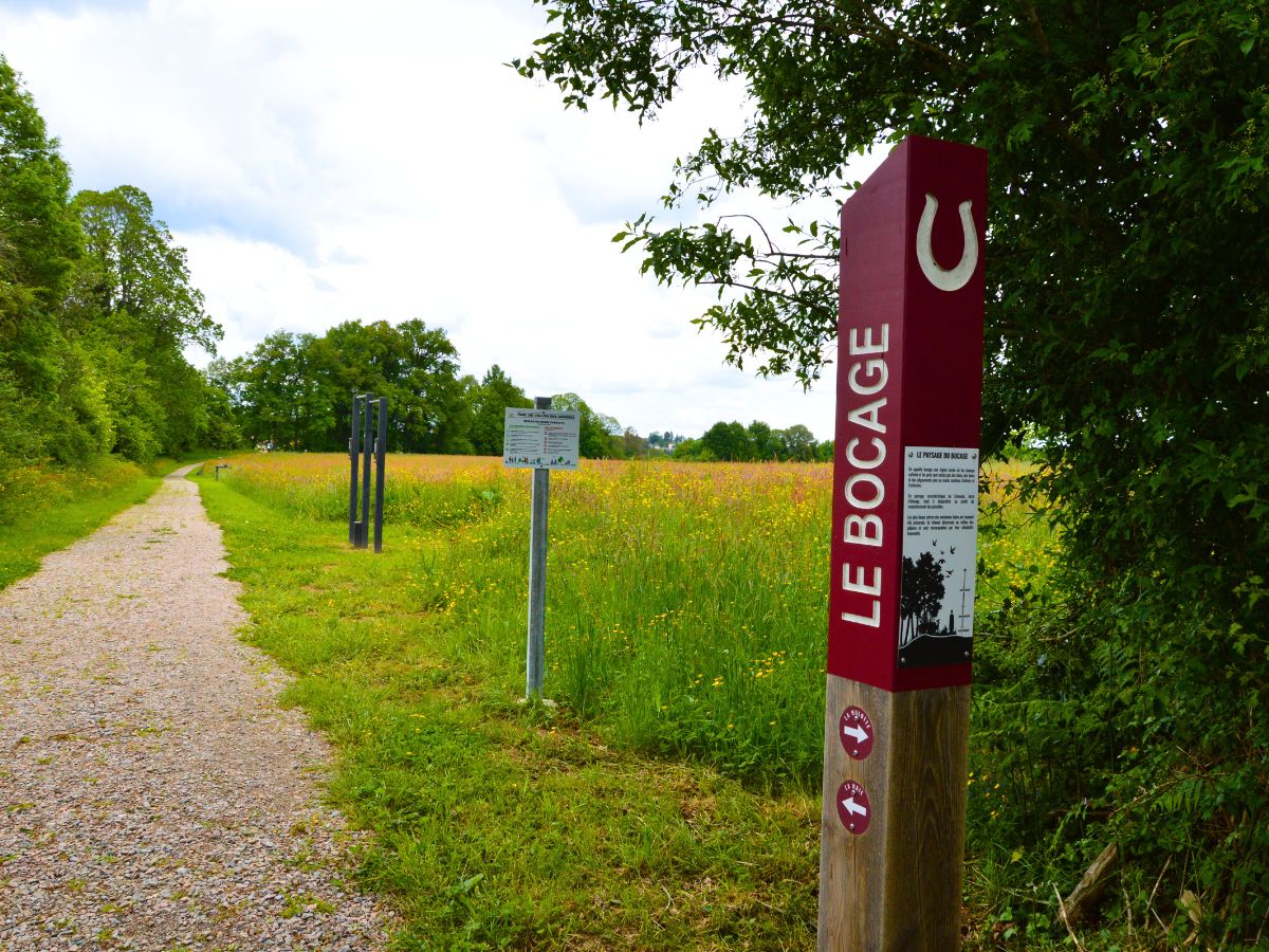 Parc du Vallon des Granges, Châlus - photo 10