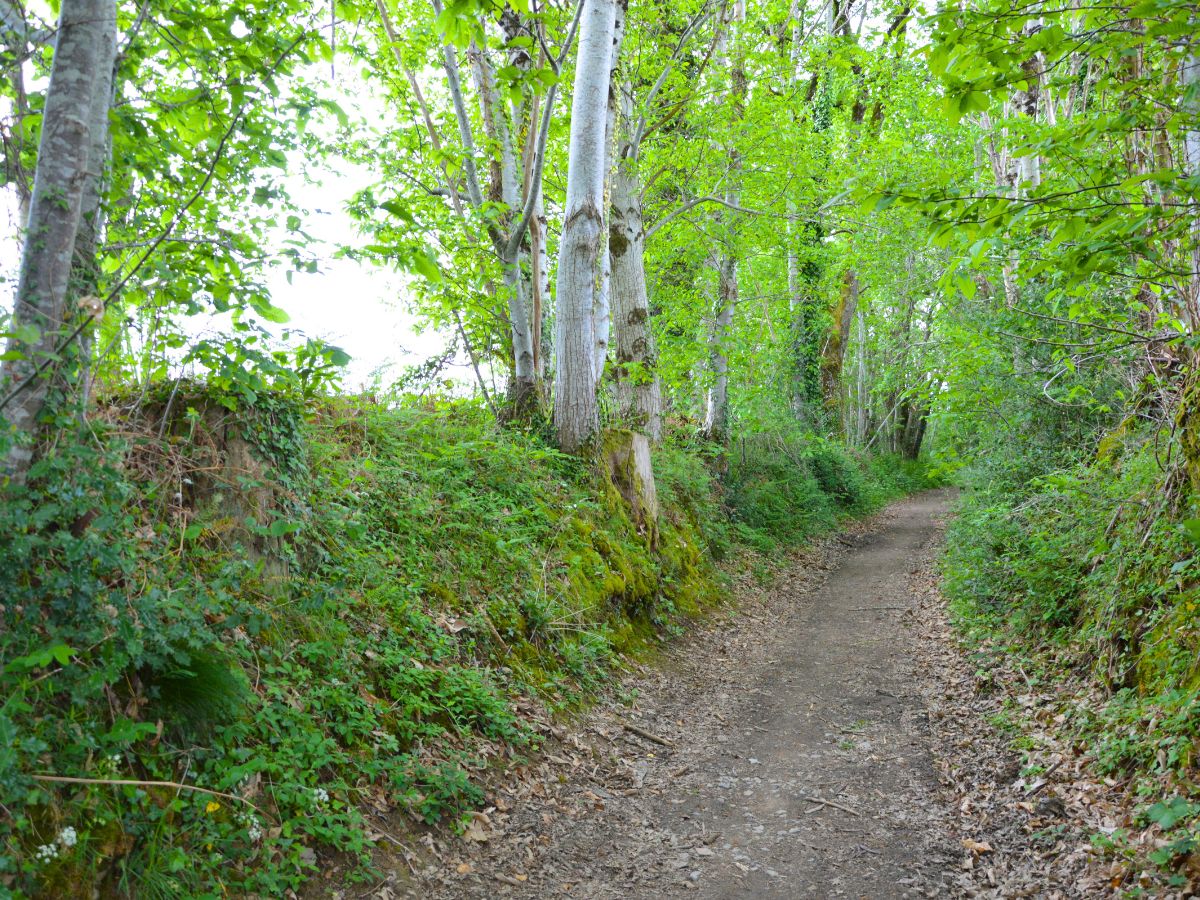 Parc du Vallon des Granges, Châlus - photo 4