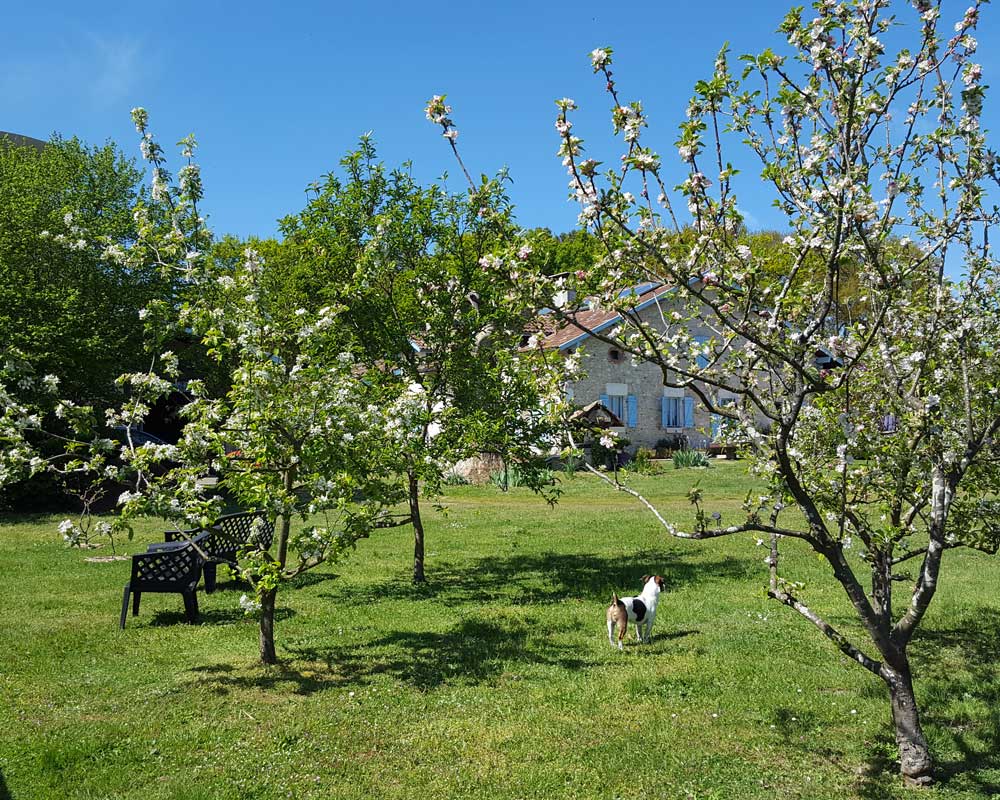 Chambres d'hôtes - Hias, Angoumé - photo 3