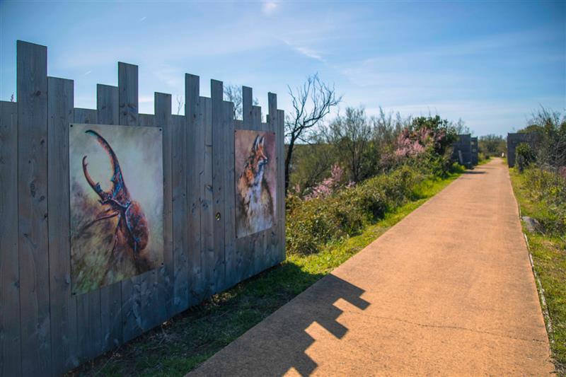 Parc écologique Izadia