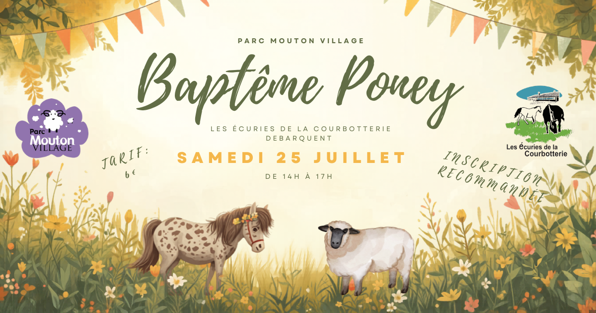 Baptême en poney