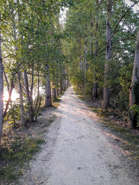Parc Naturel de Passeligne
