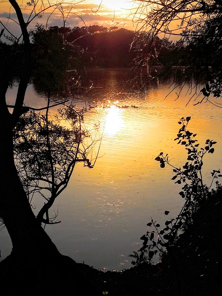 Parc Naturel de Passeligne - photo 4