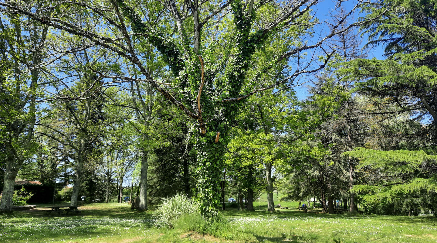 Le Parc Voulgre, Mussidan - photo 13