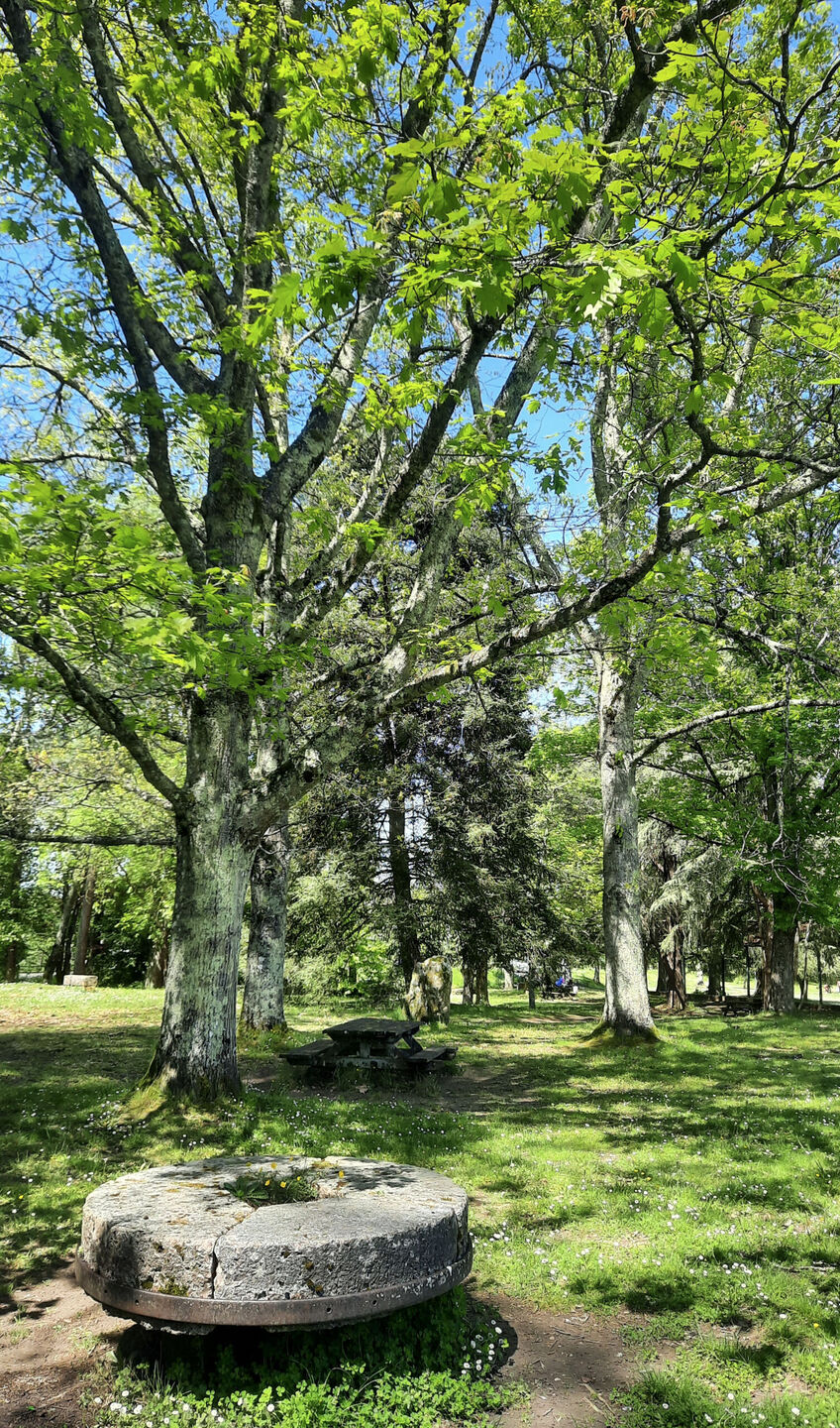 Le Parc Voulgre, Mussidan - photo 15