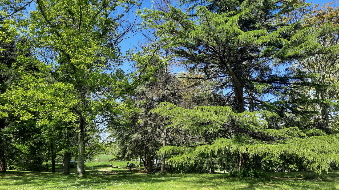 Le Parc Voulgre, Mussidan - photo 7