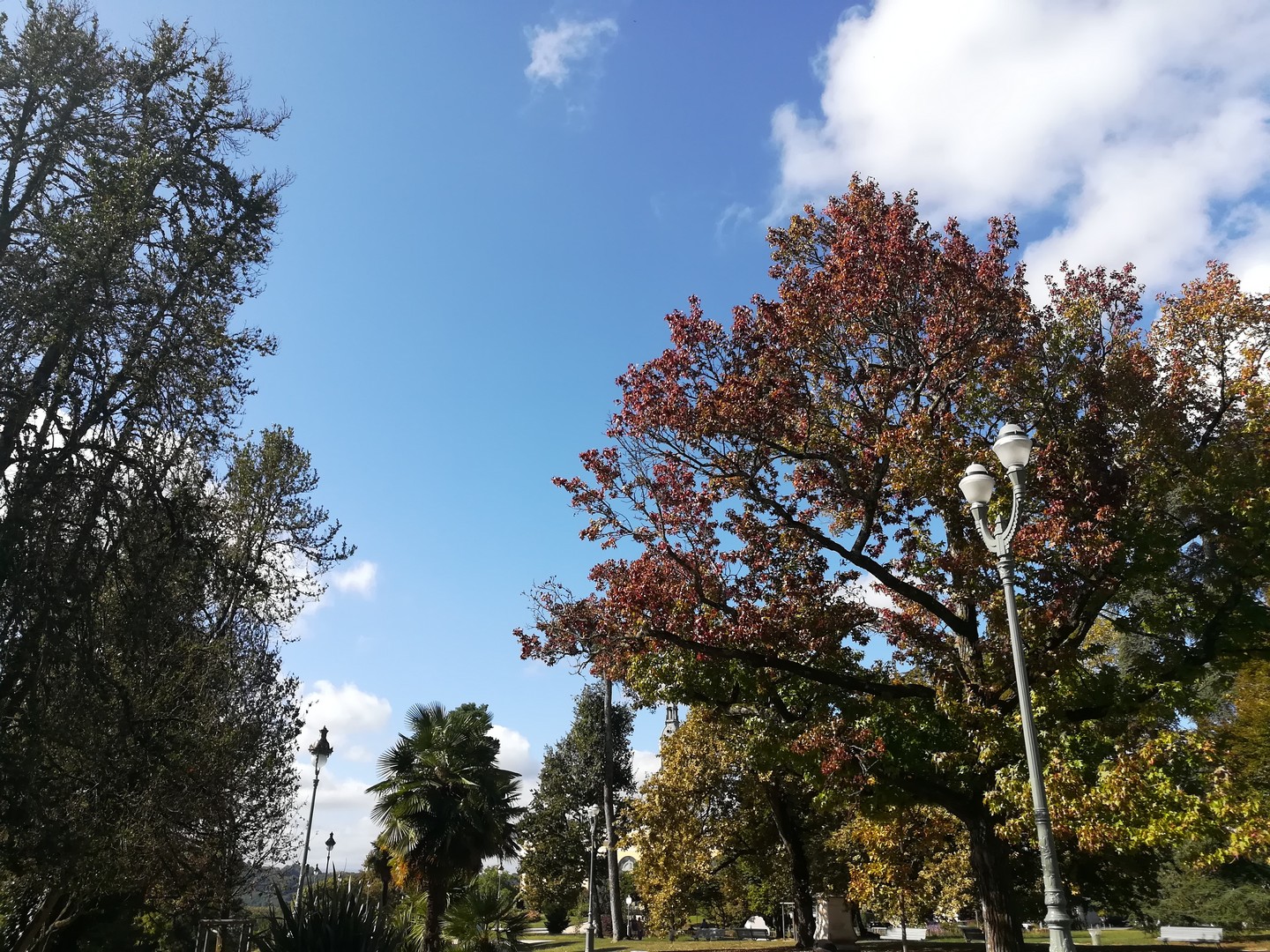 Balade à roulettes N°24 - Promenade au parc Beaumont à Pau - photo 3