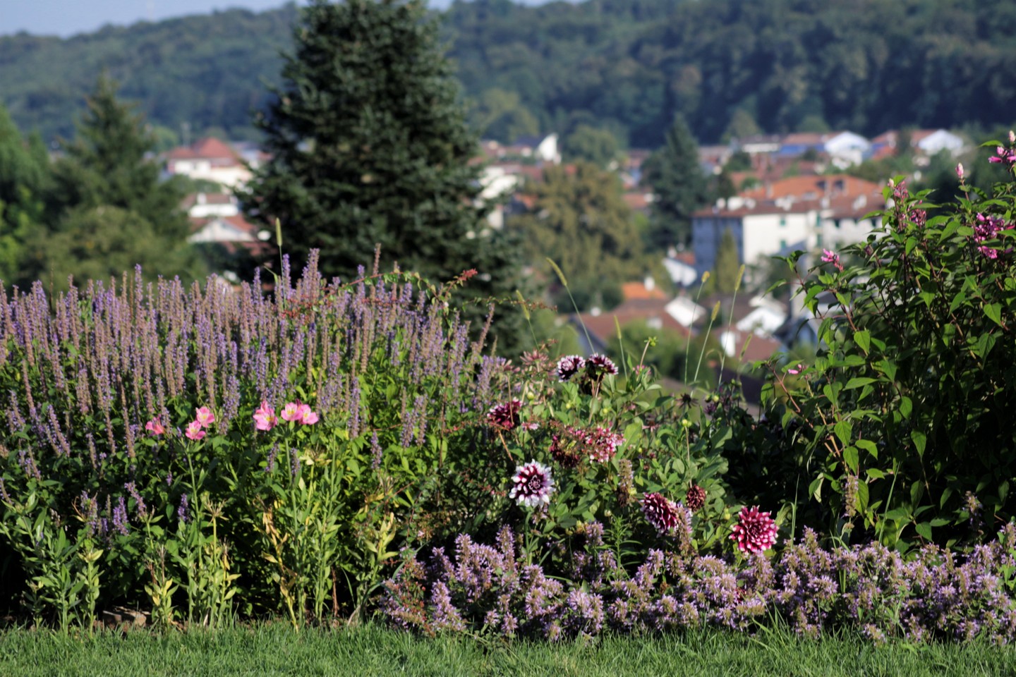 Balade à roulettes N°24 - Promenade au parc Beaumont à Pau