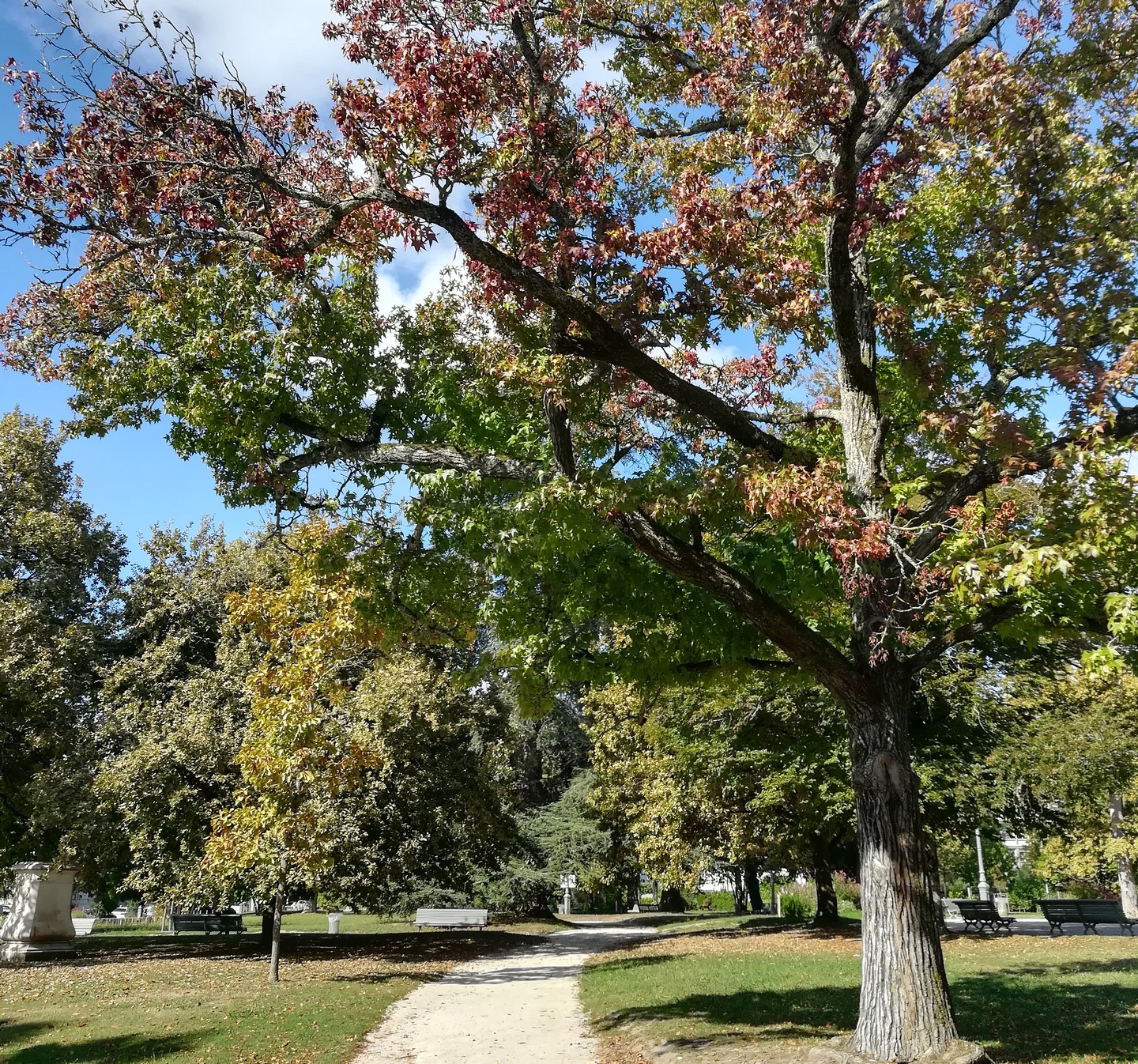 Balade à roulettes N°24 - Promenade au parc Beaumont à Pau - photo 4