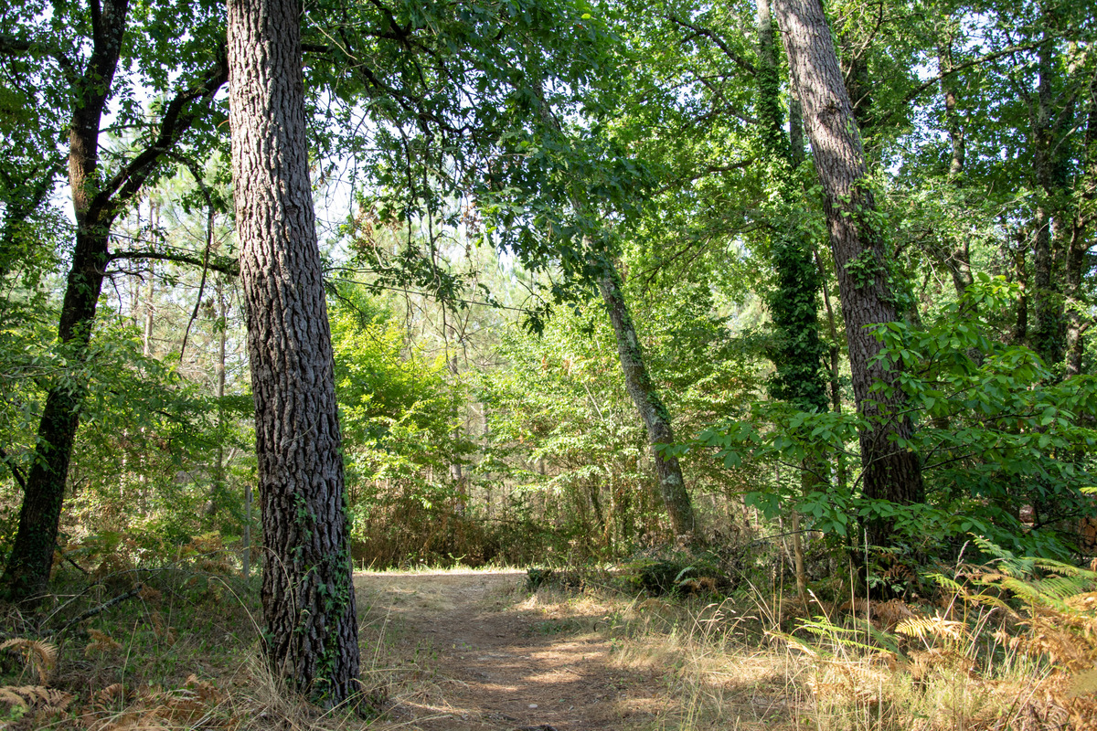 Parcours Petit Poucet - photo 4