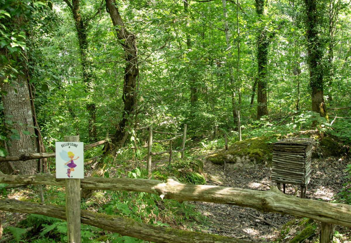 Parcours Bellipodine - photo 5