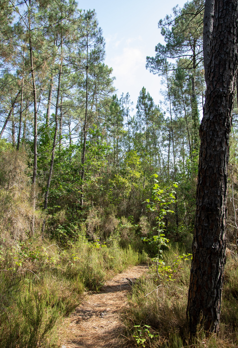 Parcours Petit Poucet - photo 5