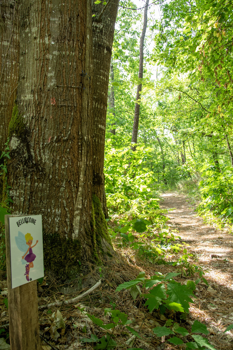 Parcours Bellipodine - photo 4