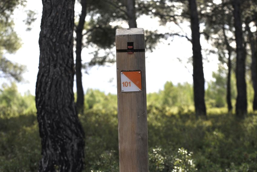 Parcours d'orientation Plaine de l'Isle Verte