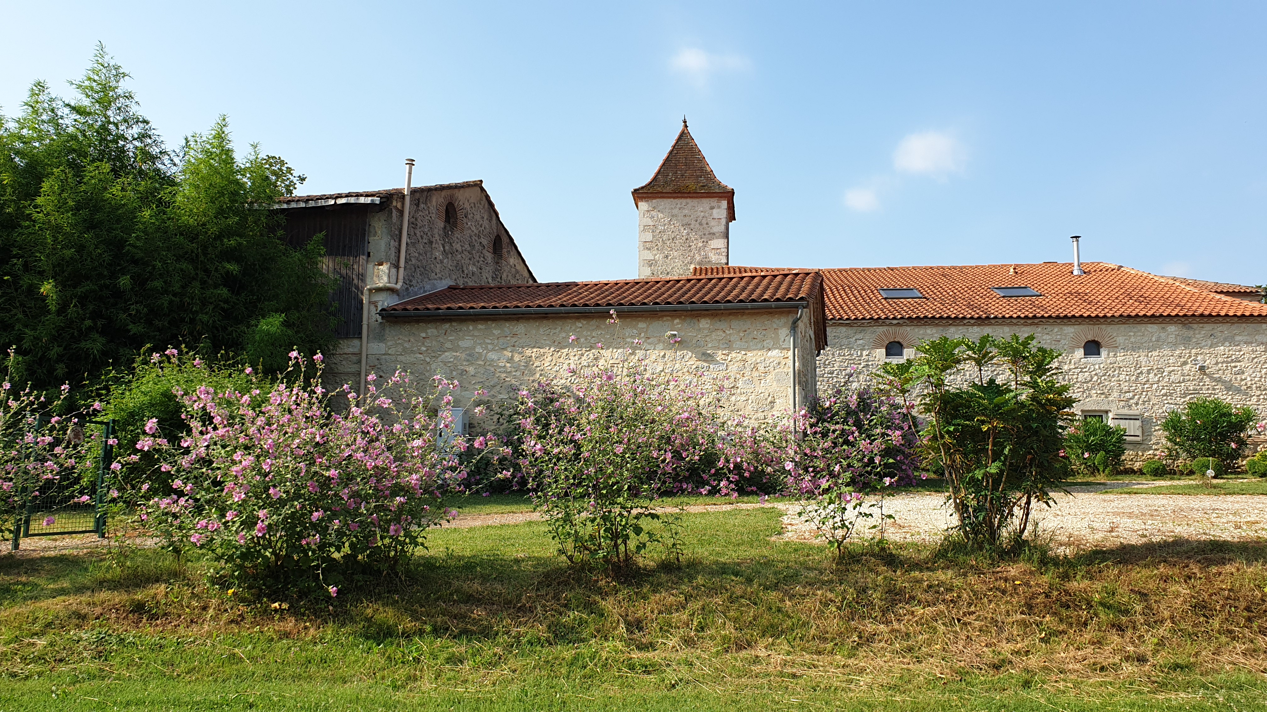 Gîte Kiwi, Bourran - photo 5