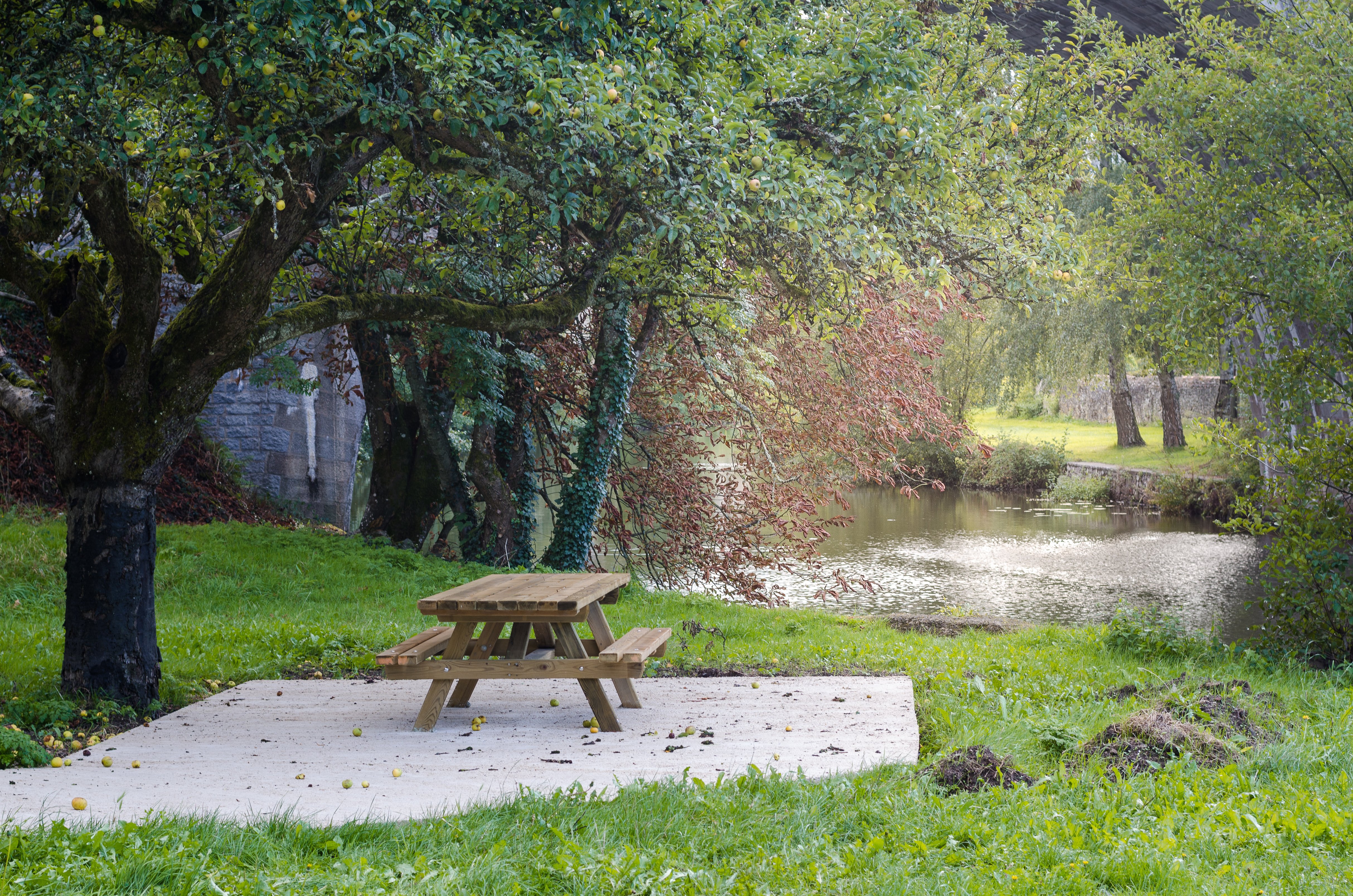 Berges du Thouet