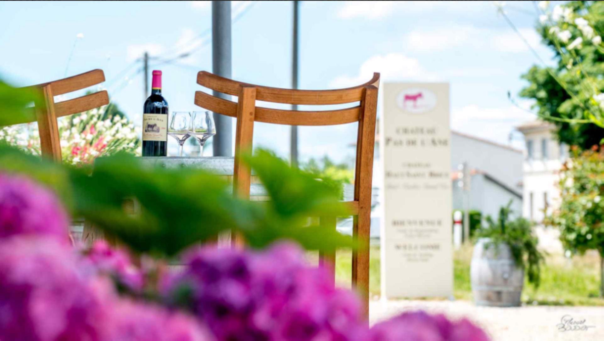 Château Pas de l'Ane - photo 2