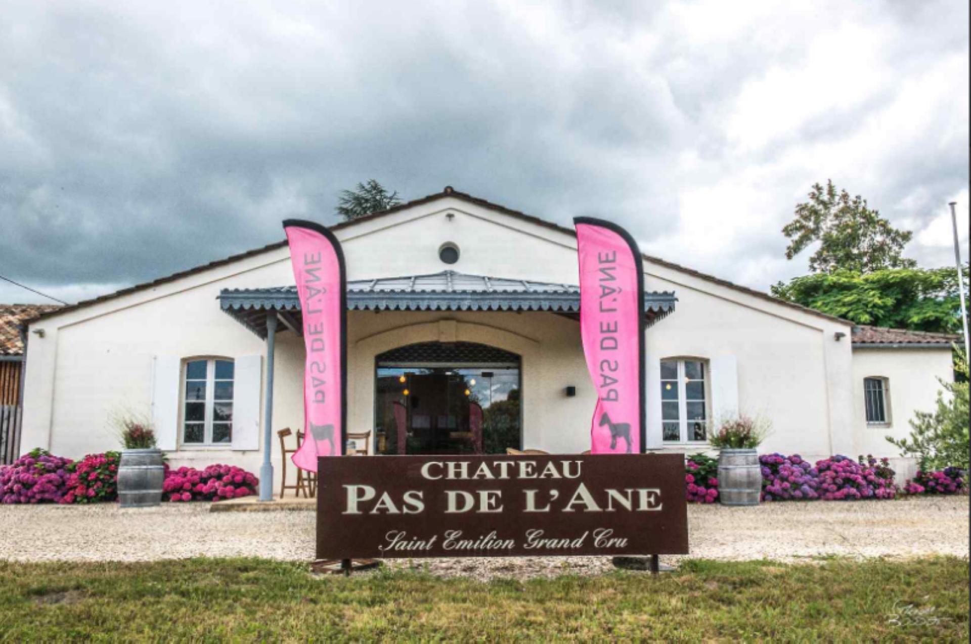 Château Pas de l'Ane - photo 5