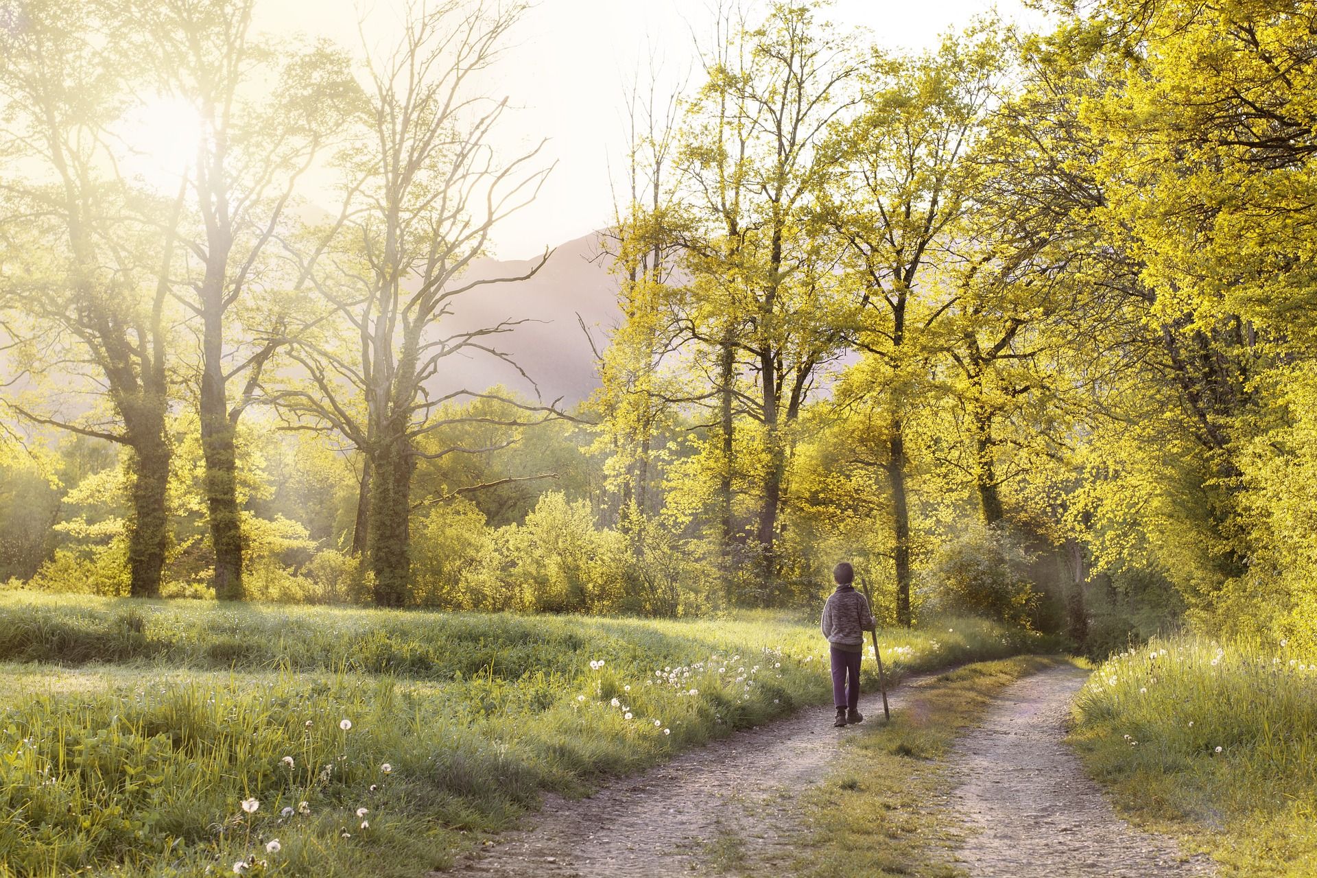 Navailles-Angos : dans le vallon de Navailles