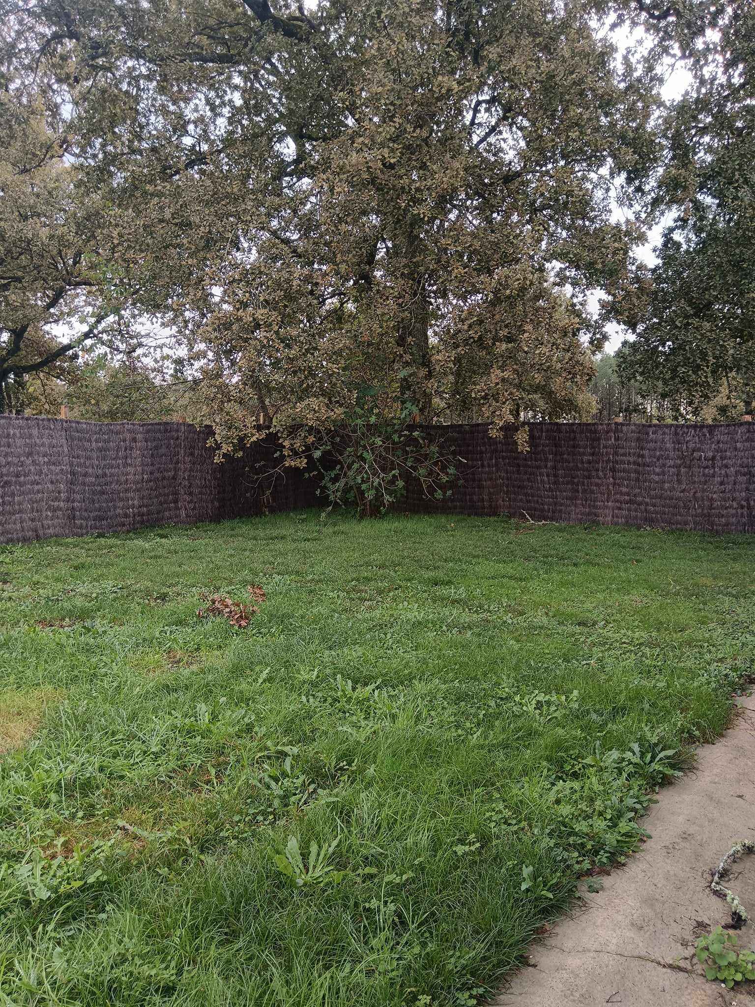 À la lisière du bois, Saint-Martin-Curton - photo 7