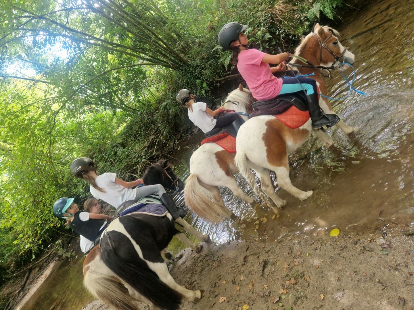 Poney Club de la Ferme St Joseph - photo 3