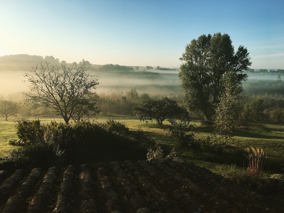The growing green house