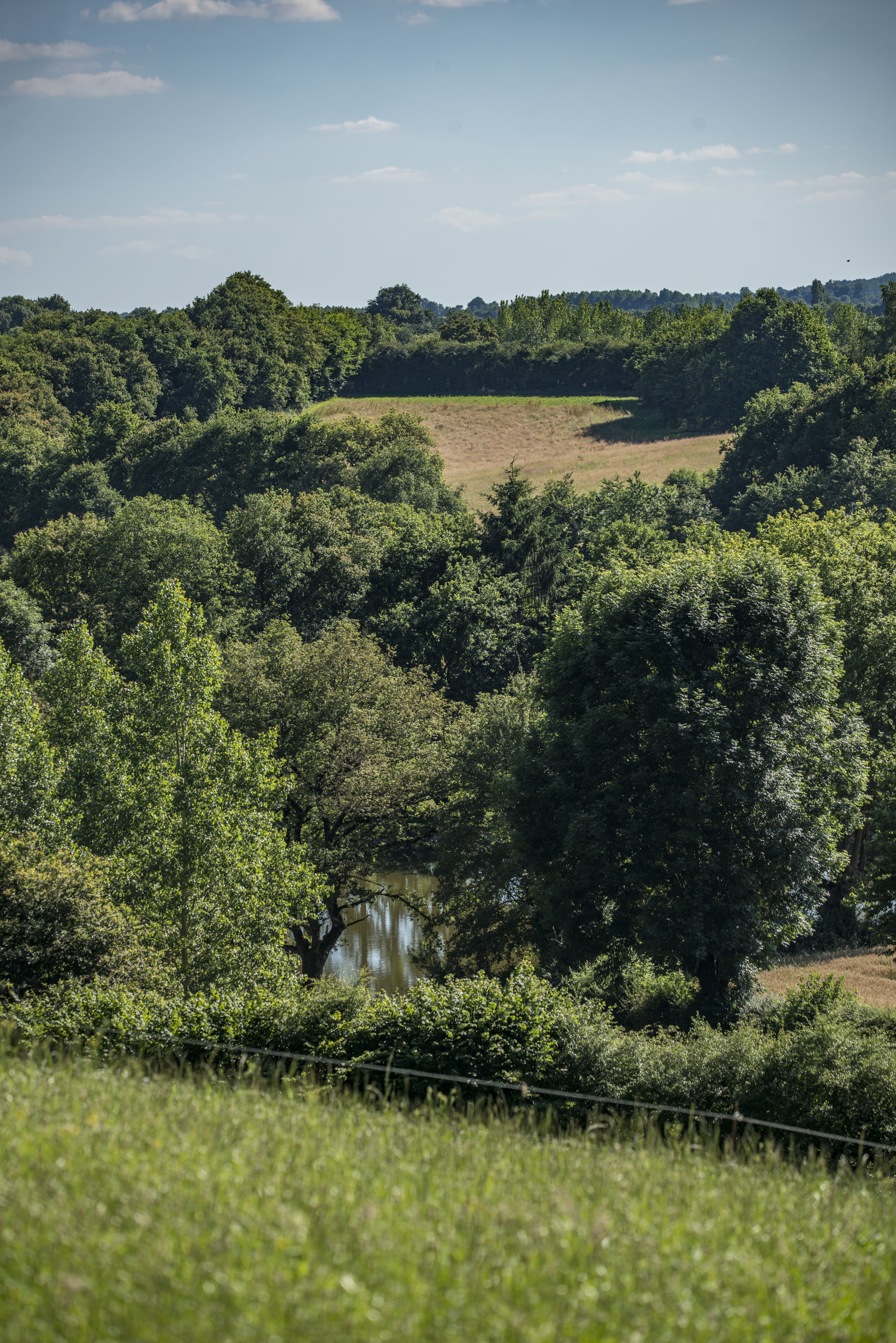 Gîte "La Cabrette", Pompaire - photo 15
