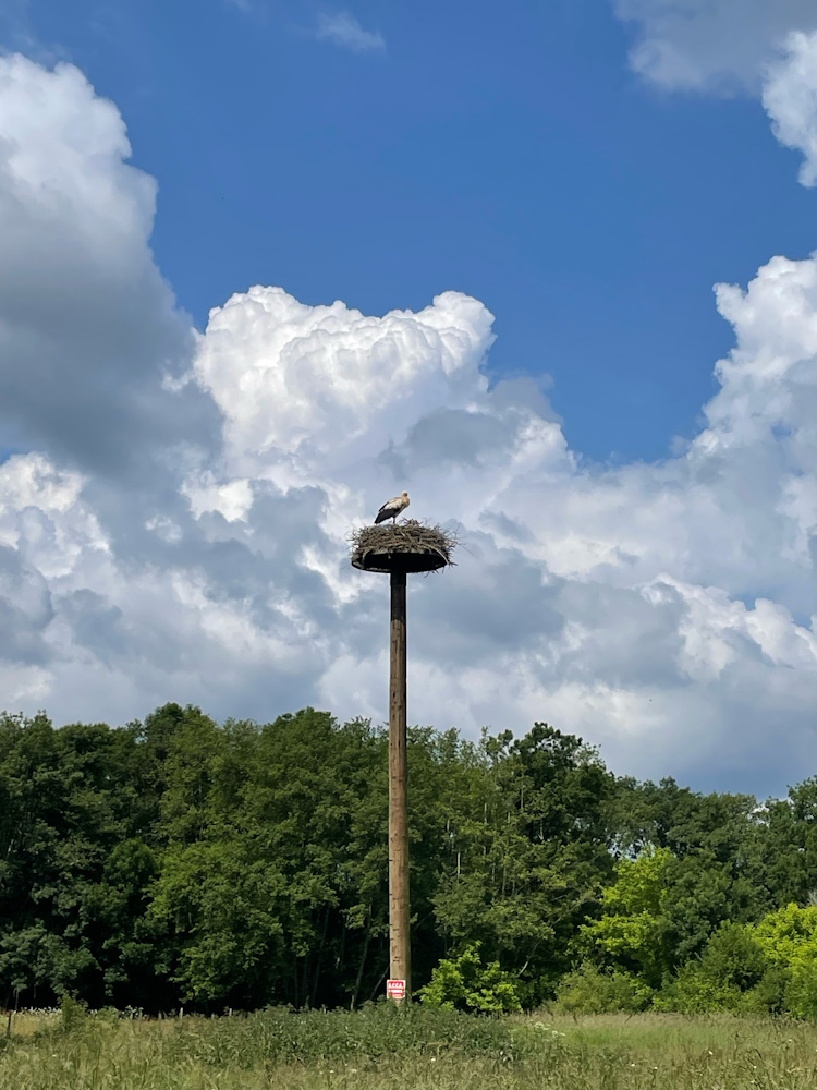 Aire naturelle et camping à la ferme La Grange - photo 3