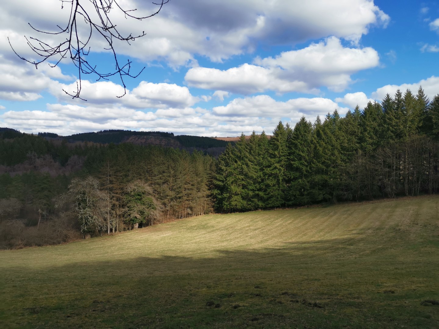 Circuit Pédestre N°57 : "Le Puy de Pétru", Saint-Pardoux-Morterolles - photo 5