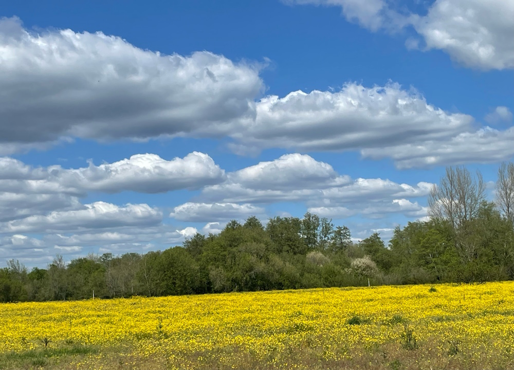 Aire naturelle et camping à la ferme La Grange, Yzosse - photo 7