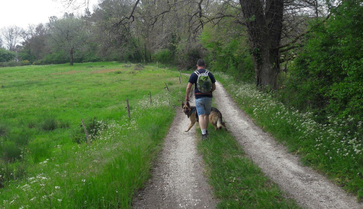 Boucle des potiers à Beauronne - photo 5