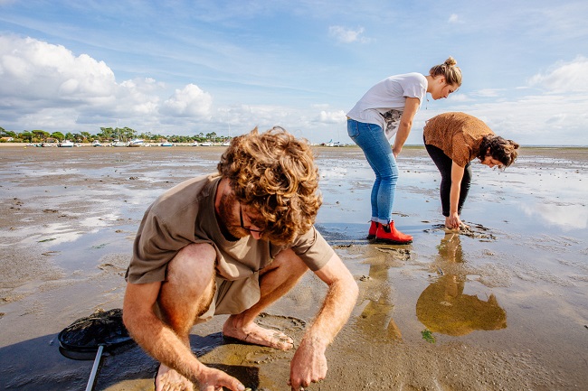 Balade et pêche à pied à marée basse en famille