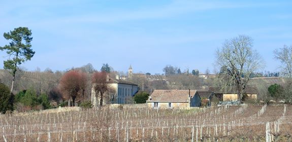 Château Peller Laroque - photo 2