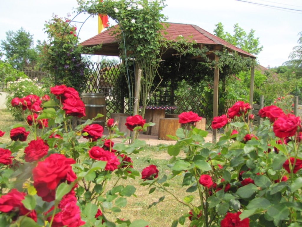 Chambres d'hôtes Amourgnac - photo 3