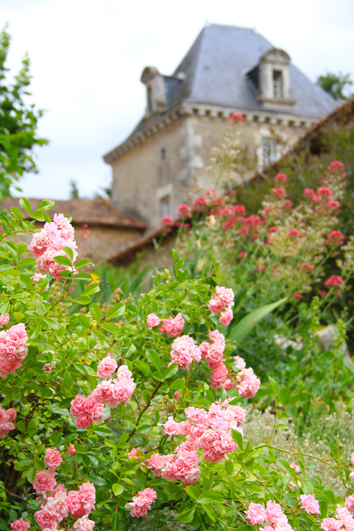 Hôtel Le Château de Périgny, Vouillé - photo 9
