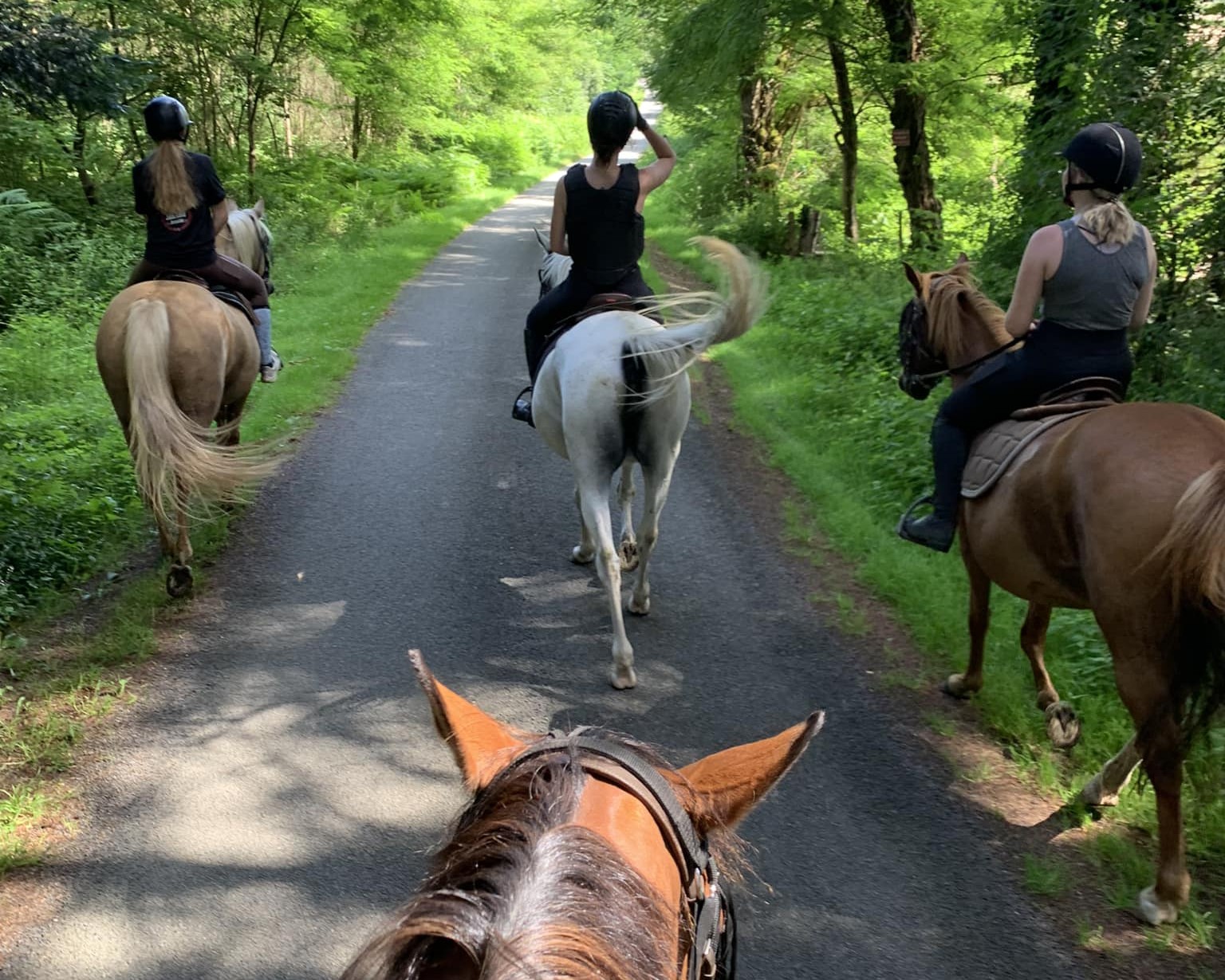 Ecole d'équitation des Perrières