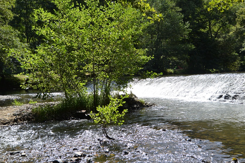 Journée champêtre au Pervendoux, Génis