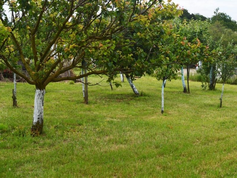 Le Chai des Grezeaux, Yvrac - photo 8