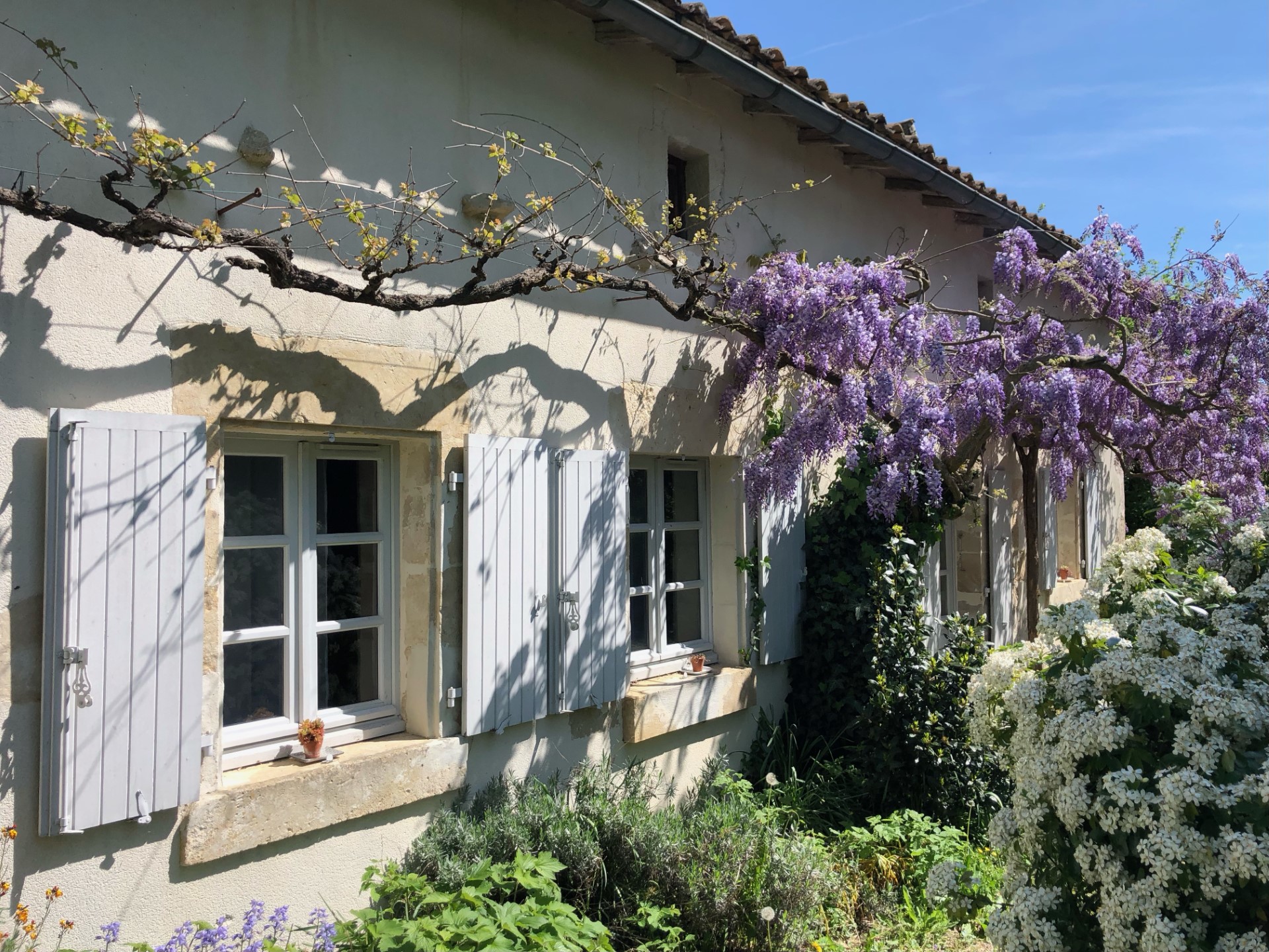 Gîte Les New Forestiers