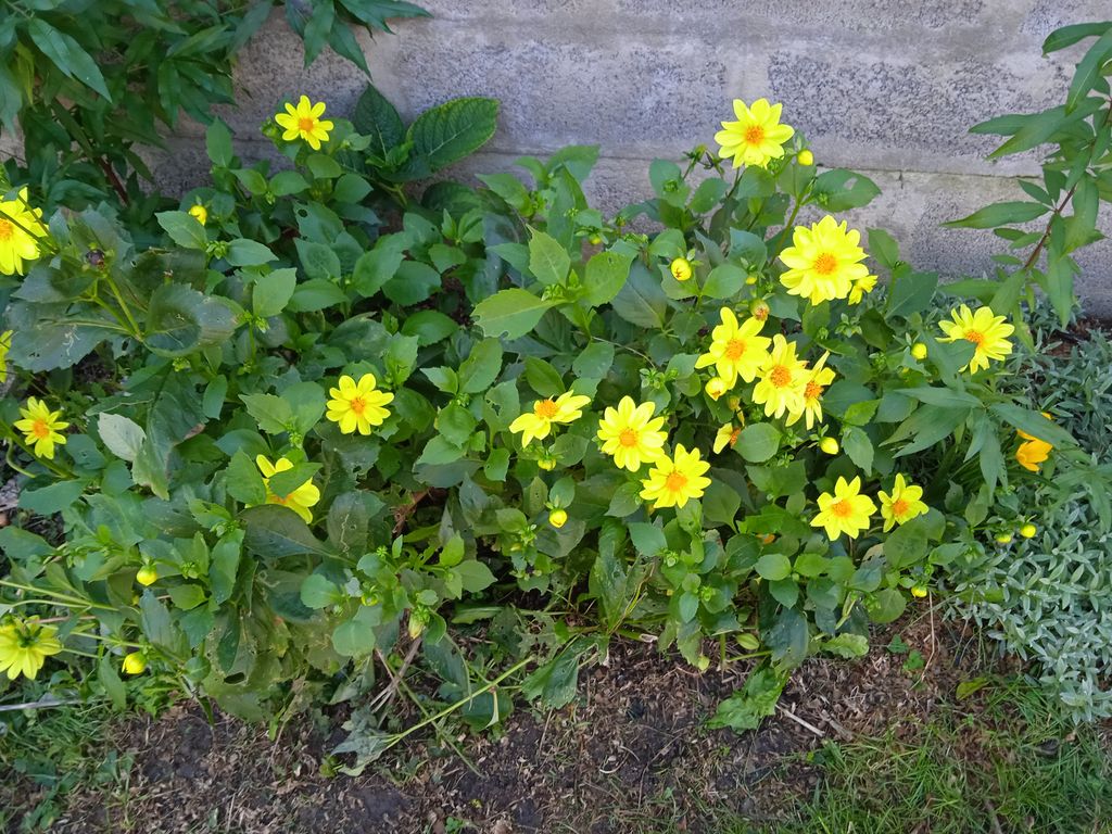 Charmante Petite Maison