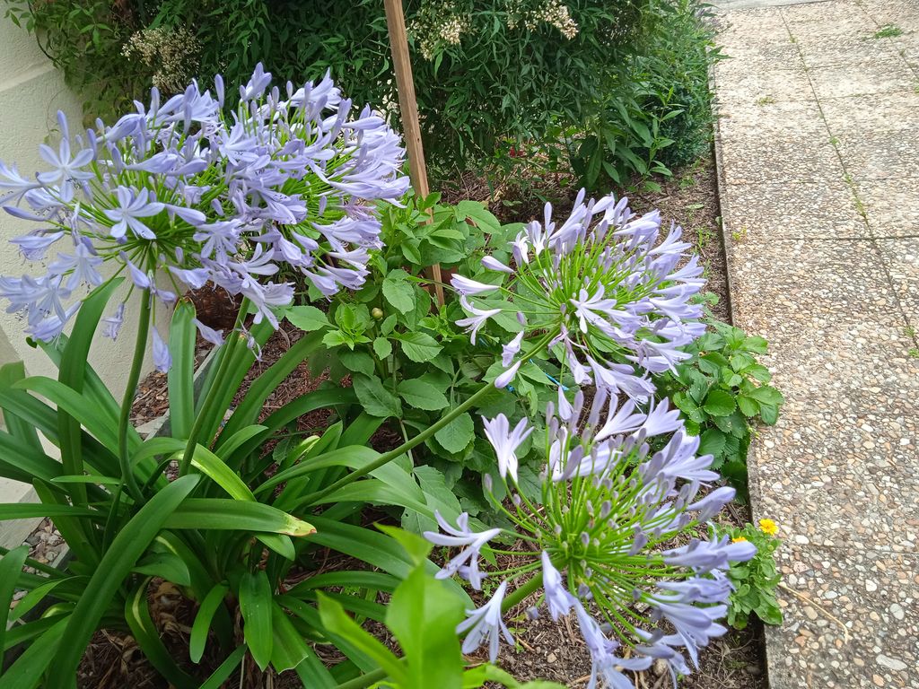 Charmante Petite Maison - photo 2