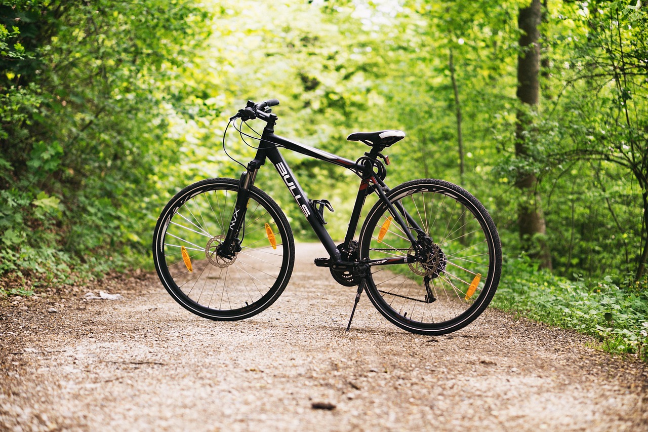 Après-midi vélo
