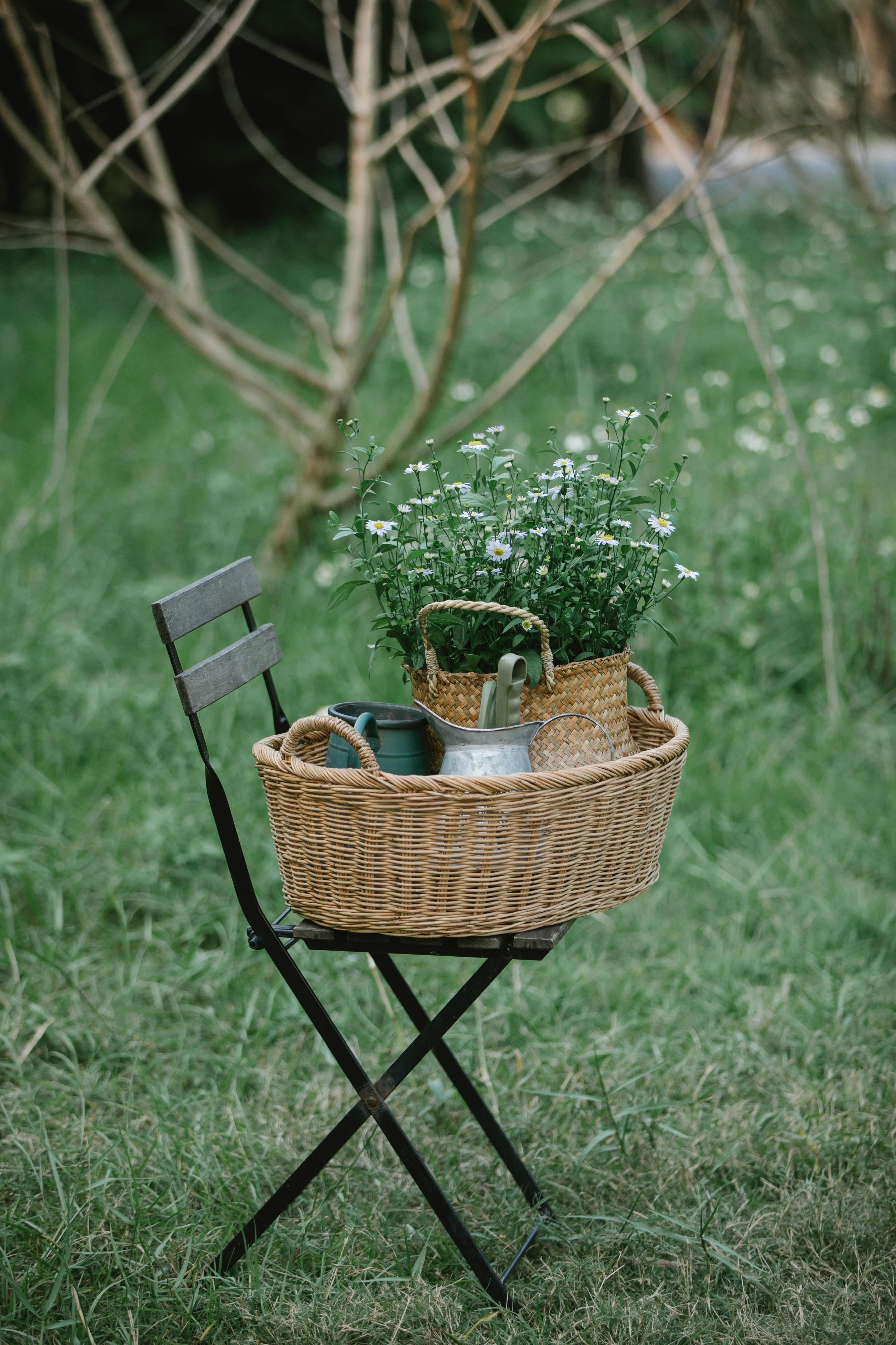 Troc jardin au Château de Mursay à Echiré, Échiré